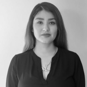 Dra. Ana Alejandra Robles Ruiz